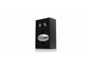 HiFiMAN TWS600 Auricolari IEM Hi-Fi Wireless + RE-600/S