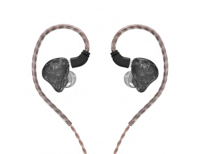 FiiO FH1S Auricolari In-Ear 2-Driver Ibrido Cavo MMCX Staccabile +Bilanciato