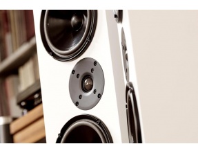 Living Voice IBX-RW3 Loudspeakers Pair