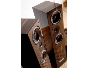 Living Voice IBX-RW3 Loudspeakers Pair