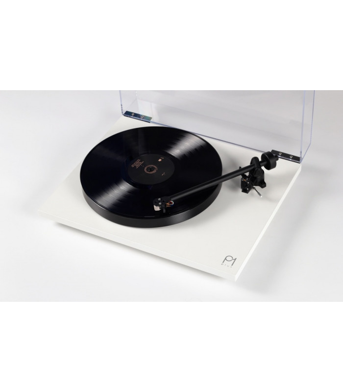 Giradischi Rega Planar 1 Plus con stadio Phono integrato