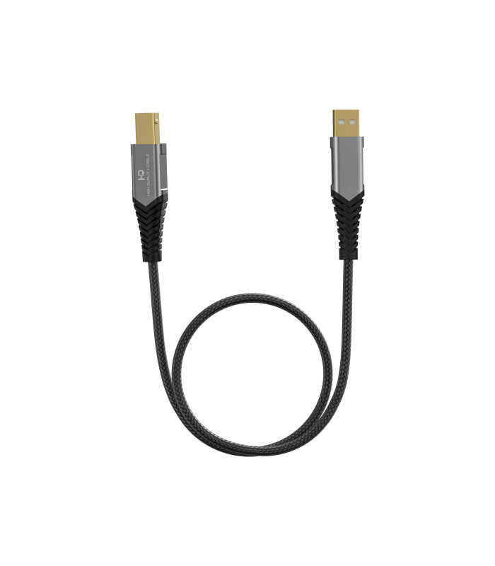 FiiO LT-LT1 USB Lightning to Type-C Cable Adapter