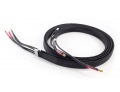 Tellurium Q Ultra Black II Speaker Cables (2+2 meters) [2nd hand]
