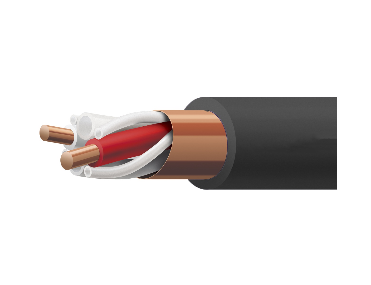 Acoustic Revive SPC-Reference II TripleC - Speaker Cable (cut-sales)