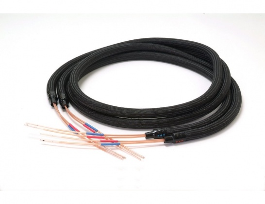 Acoustic Revive SPC-Reference II TripleC - Speaker Cable (cut-sales) -  PlayStereo